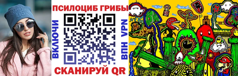 дарк нет Telegram  Химки  Псилоцибиновые грибы прущие грибы 